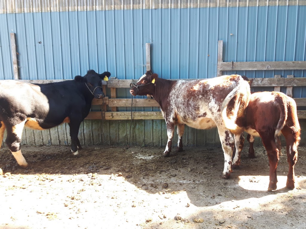 EIEIO Farm and Greenhouses | 503 Cornwall Rd, Blockhouse, NS B0J 1E0, Canada | Phone: (902) 624-9636
