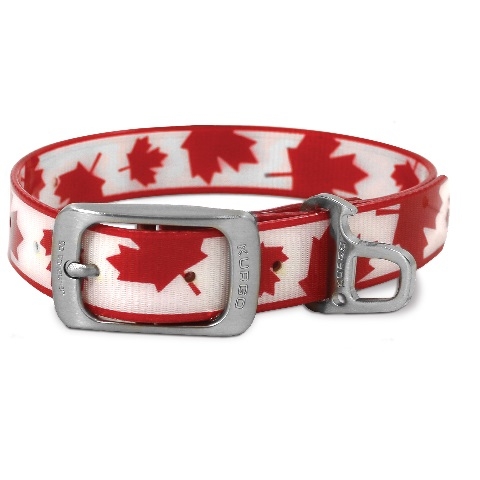 Hairys Pet Supply | 916 Marriott Close, Rosetown, SK S0L 2V0, Canada | Phone: (306) 831-8297