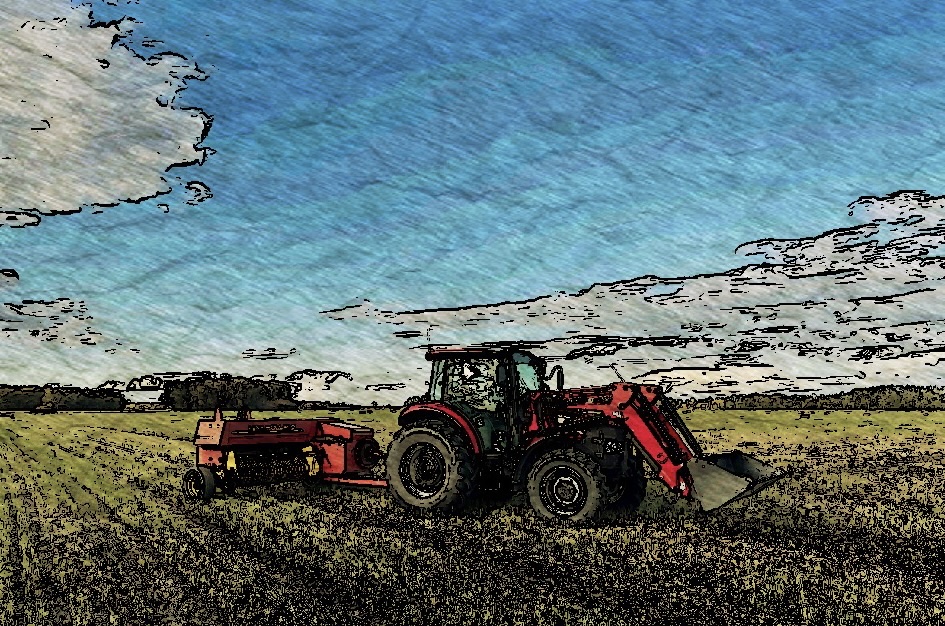 Cheslock Farms | 816 Bracken Rd, Saint Andrews, MB R1A 4K5, Canada | Phone: (204) 485-3631