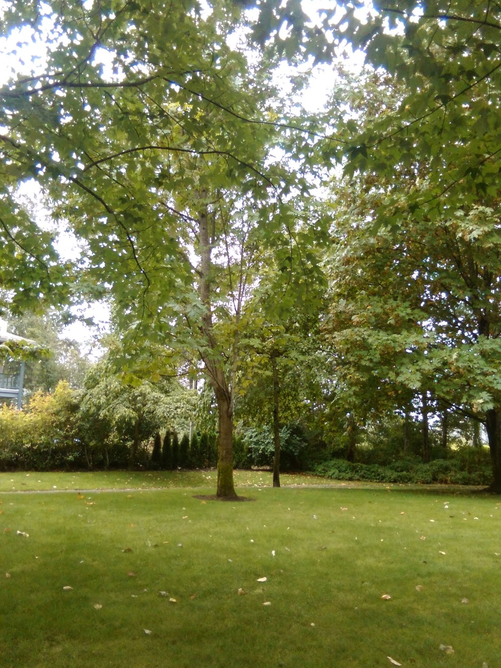 Fraserwood Park | 22020 Fraserwood Way, Richmond, BC V6W 1J6, Canada