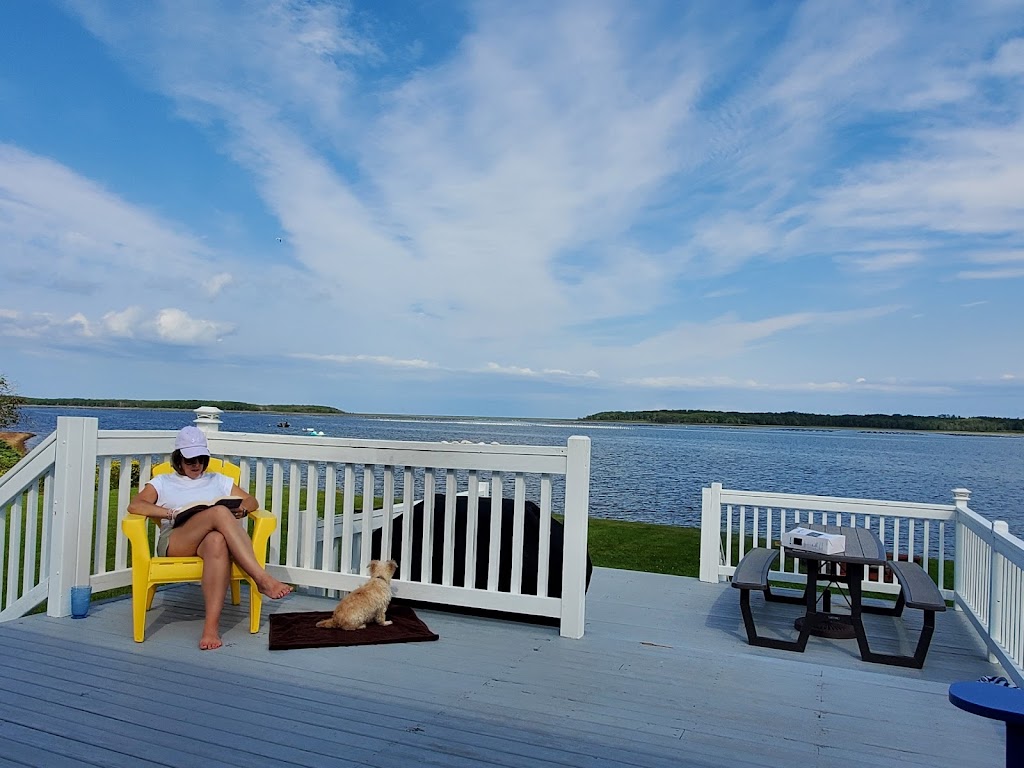 The Salty Dog | Dundas Parish, NB E4R 2N6, Canada | Phone: (780) 238-8833