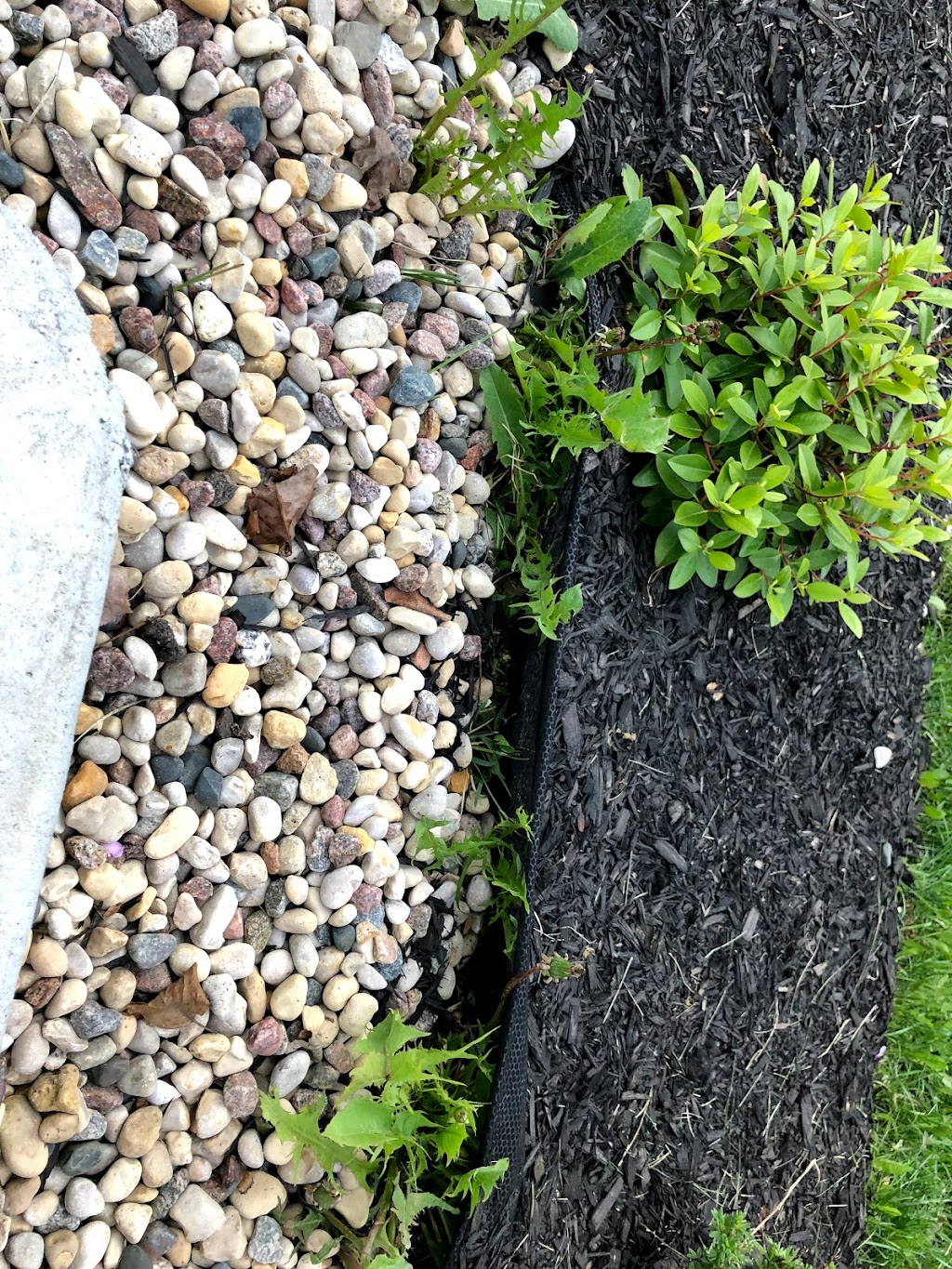 Turf Boss | 1 Yvette St, Oakbank, MB R0E 1J1, Canada | Phone: (204) 805-0787