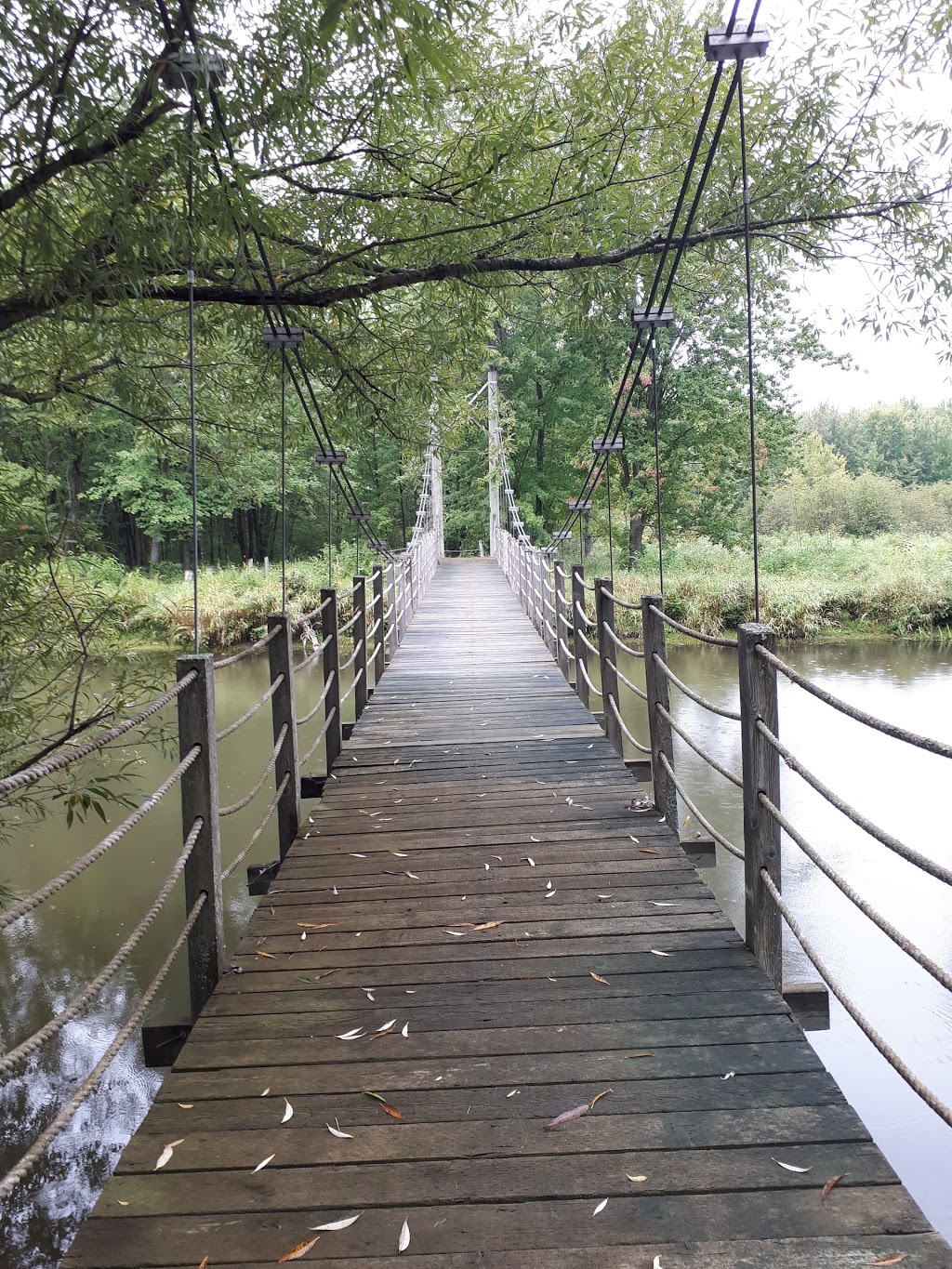 Parc national de Plaisance | 1001 Chemin de la Grande Presquîle, Plaisance, QC J0V 1S0, Canada | Phone: (800) 665-6527