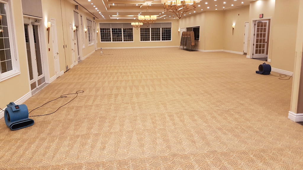 Elements Carpet Cleaning and Restoration | 1011 Roselawn Dr, Windsor, ON N9E 1L3, Canada | Phone: (519) 819-9095