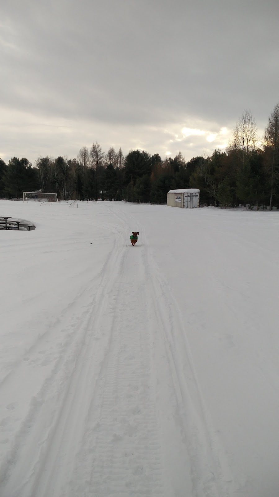 Gostick Park | 25 Hamblin Dr, Bracebridge, ON P1L 1R3, Canada | Phone: (905) 264-9390
