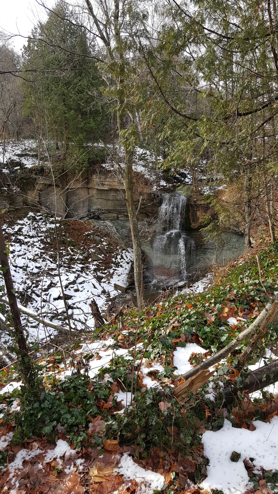 Webwood Falls Nature Reserve | Sideroad 25, Kimberley, ON N0C 1G0, Canada | Phone: (877) 733-4739