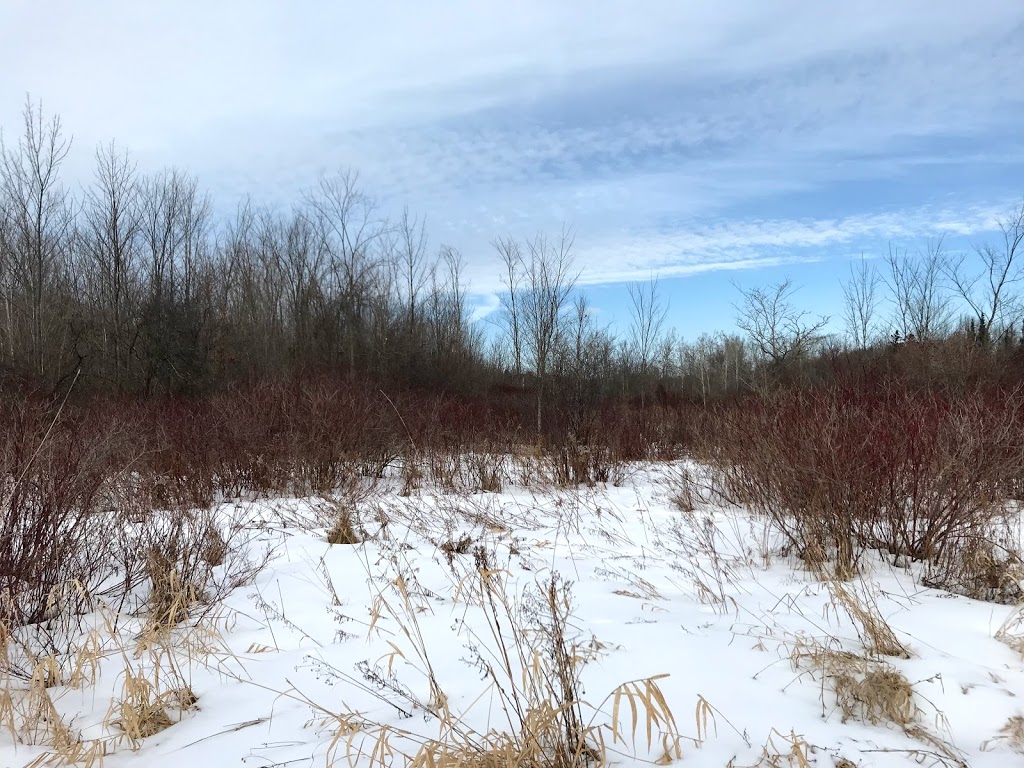 Osprey Ridge West | 78 Osprey Ridge Rd, Barrie, ON L4M 6P3, Canada | Phone: (705) 739-4255