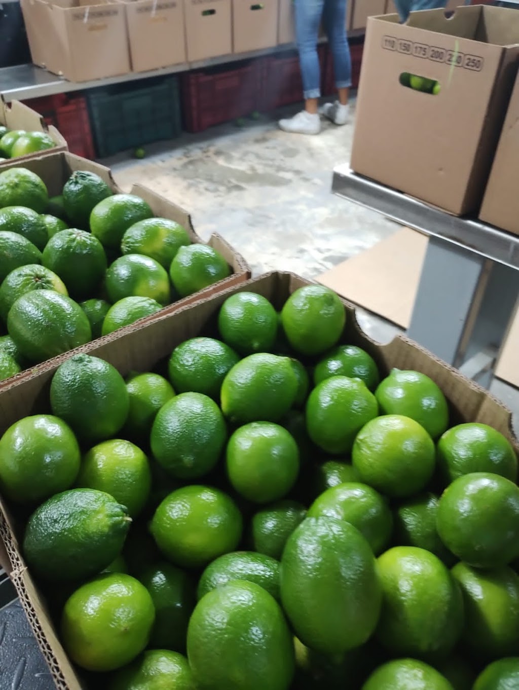 OHMEX PRODUCE | N/A, Vaughan, ON L4K 5H1, Canada | Phone: (647) 765-9477