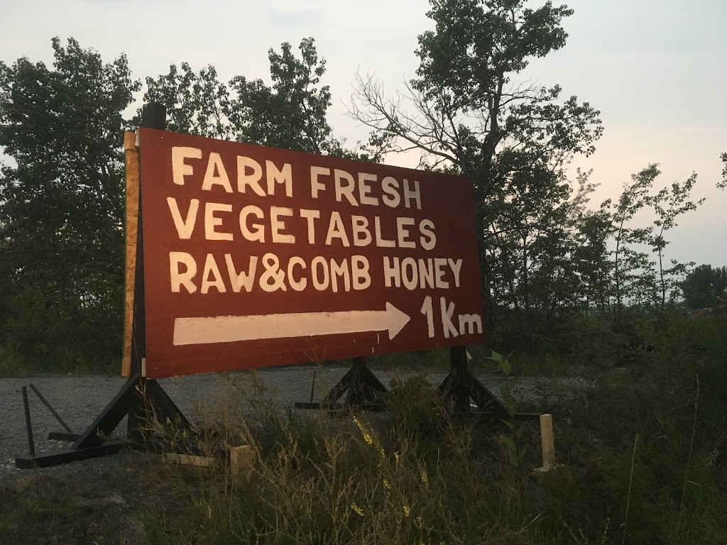 Papa Bears Bee Farms Ltd. | Unnamed Road, De Winton, AB T0L 0X0, Canada | Phone: (403) 540-7211