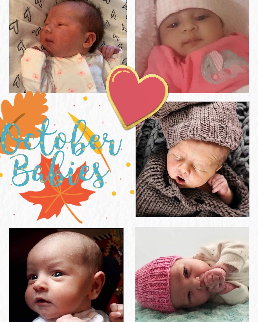 Maternity Tree | 46013 Gore Ave, Chilliwack, BC V2P 4V9, Canada | Phone: (604) 728-8132