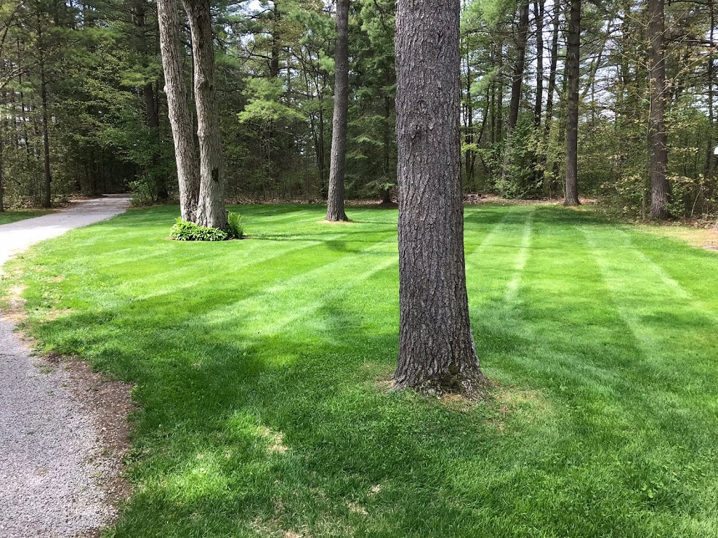 Strongscape Property Maintenance | Bay St, Kawartha Lakes, ON K9V 3J1, Canada | Phone: (705) 341-4473