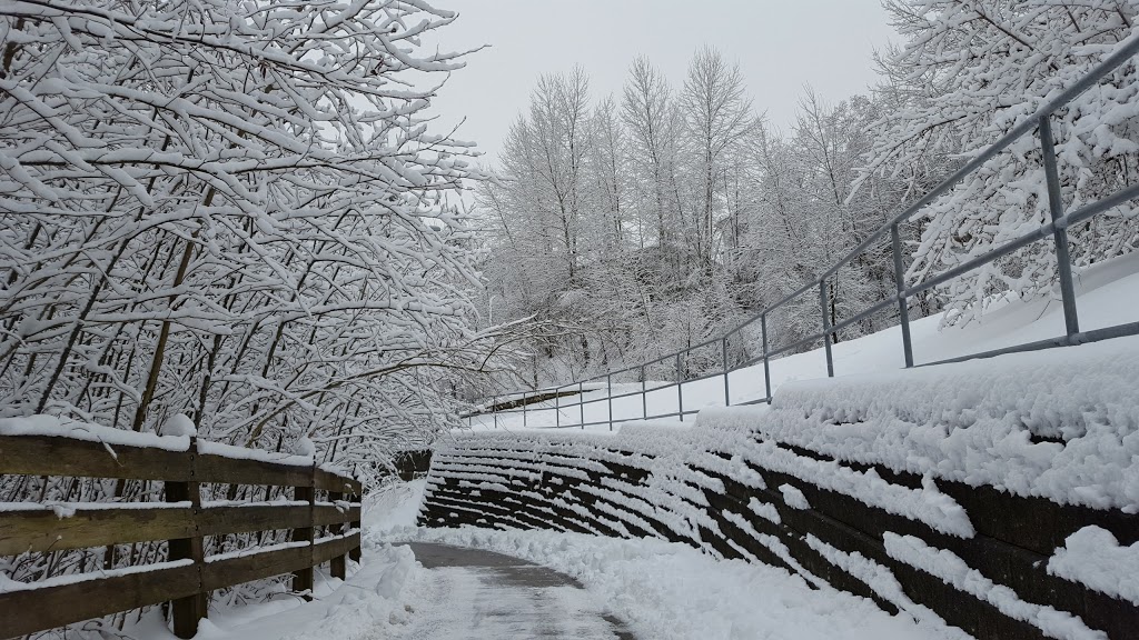 Norm Staff Park | 3320 David Ave, Coquitlam, BC V3B 4G3, Canada | Phone: (604) 927-4386