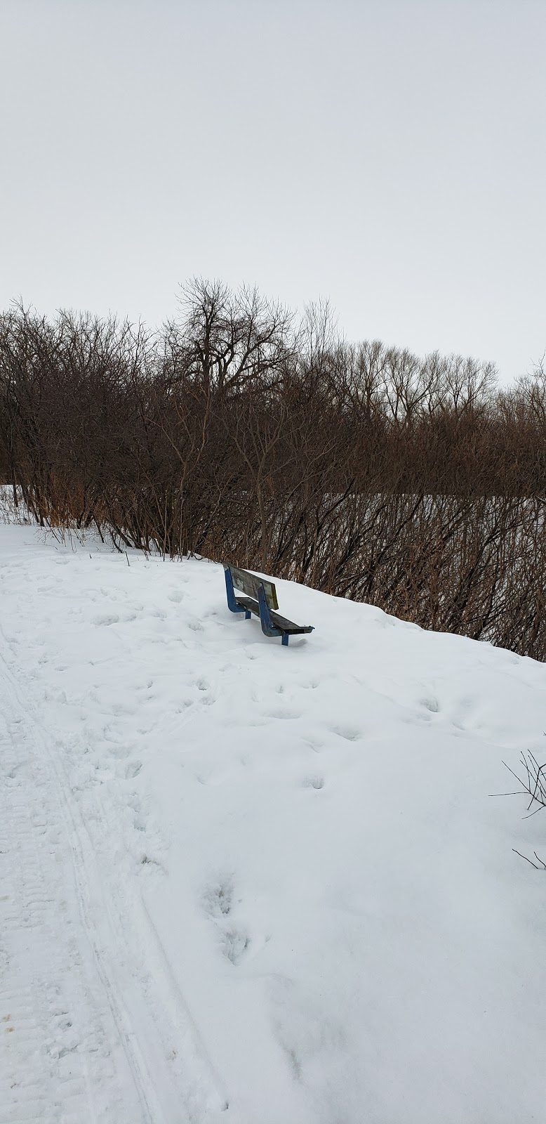 Camping Pointe-des-Cascades | 2 Chemin du Canal, Pointe-des-Cascades, QC J0P 1M0, Canada | Phone: (450) 455-2446