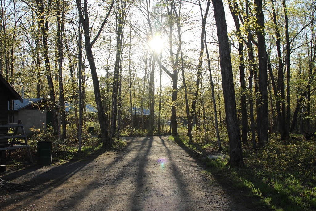 Camp Winnebagoe | 52 E Fox Lake Rd, Huntsville, ON P1H 2J2, Canada | Phone: (705) 789-5892