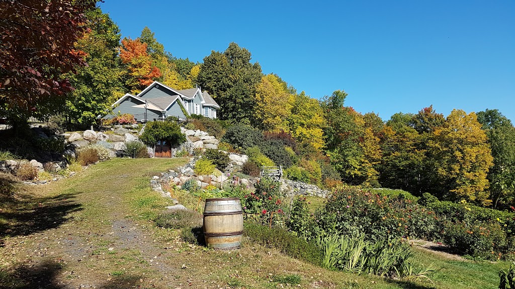 Vignoble Les Murmures | 2750 Rue Noiseux, Saint-Jean-Baptiste, QC J0L 2B0, Canada | Phone: (450) 467-1730