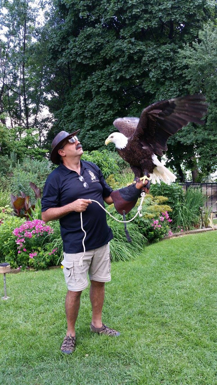 Hawkeye Bird and Animal Control | 3040 Palstan Rd #203, Mississauga, ON L4Y 2Z6, Canada | Phone: (416) 429-5393