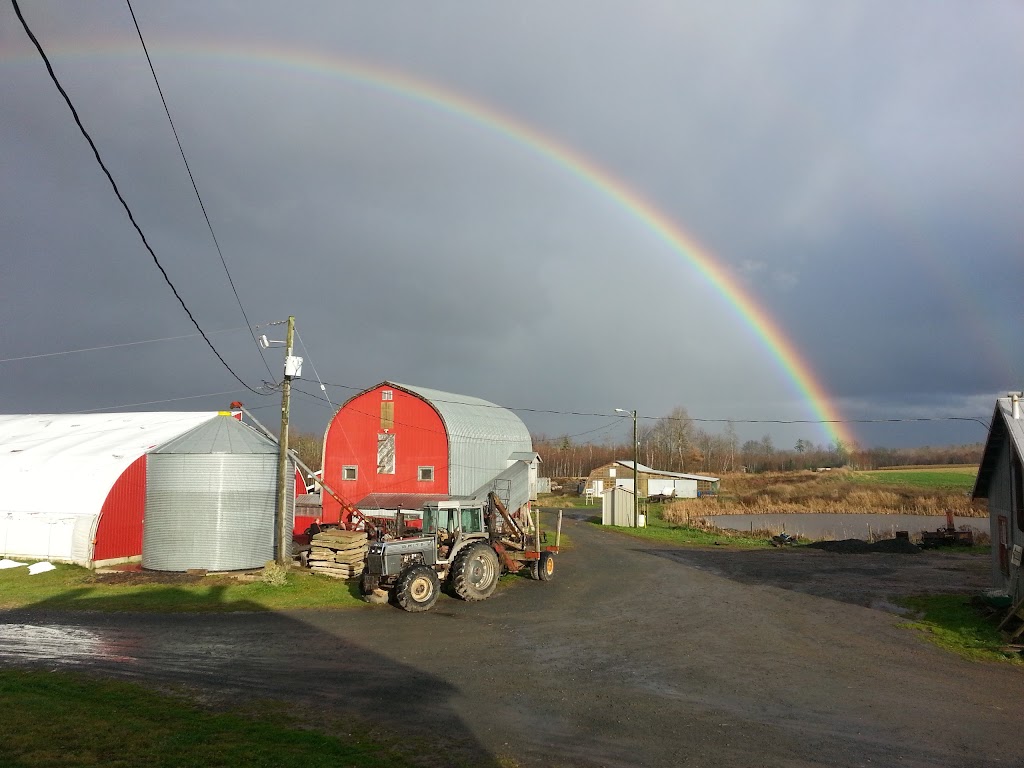 Cogmagun Poultry Processing Co. Ltd. | 760 Cogmagun Rd, Centre Burlington, NS B0N 1E0, Canada | Phone: (902) 757-3840