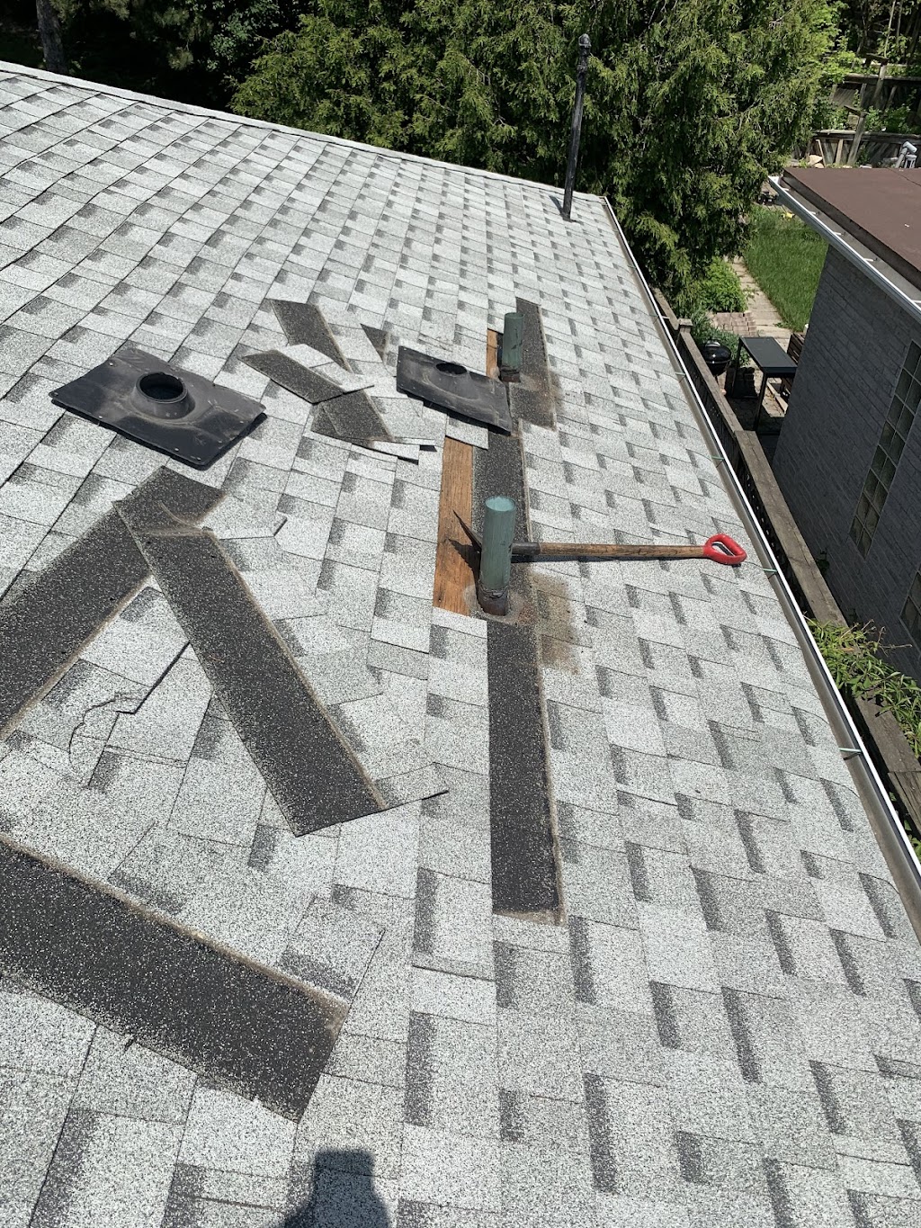 Albyn roofing | Beef Boulevard, Toronto, ON M2M 2E9, Canada | Phone: (647) 607-0071