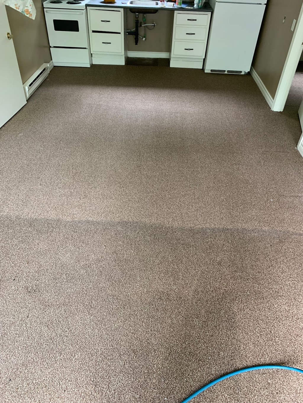 Barrie Carpet Cleaning | 63 Penvill Trail A, Barrie, ON L4N 5M8, Canada | Phone: (705) 896-5343