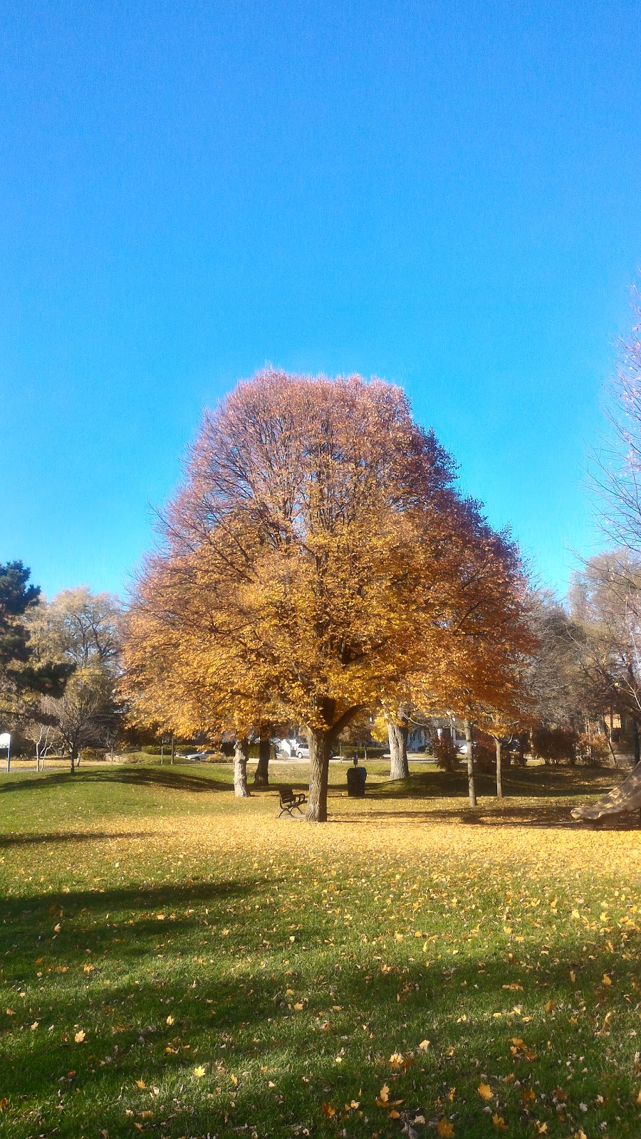 Chestnut Hills Park | Chestnut Hills Park, 32 Chestnut Hills Pkwy, Etobicoke, ON M9A 3K5, Canada | Phone: (416) 338-4386