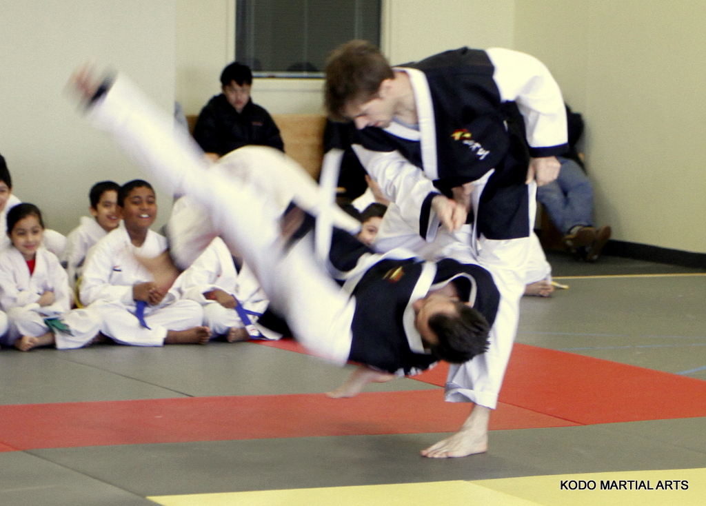 KODO MARTIAL ARTS - Hapkido & Taekwondo Academy | 4316 Ebenezer Rd, Brampton, ON L6P 1S4, Canada | Phone: (416) 899-9570