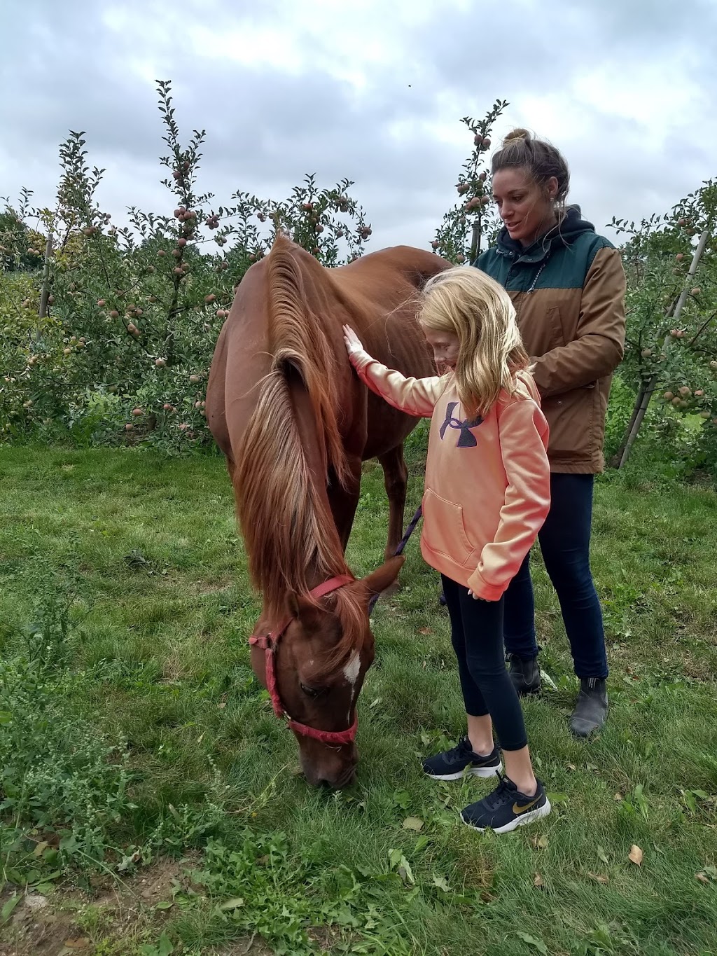 The Apple Orchard Inc. | 1668 ON-6, Hamilton, ON L8N 2Z7, Canada | Phone: (647) 456-6644