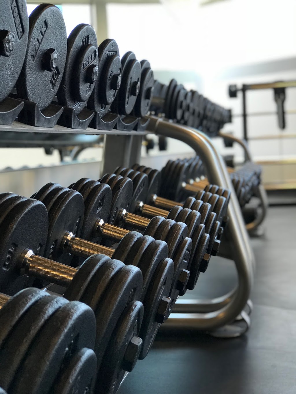 Dirk Fitness | 99 Diefenbaker Dr, Moose Jaw, SK S6J, Canada, Canada | Phone: (306) 692-6655
