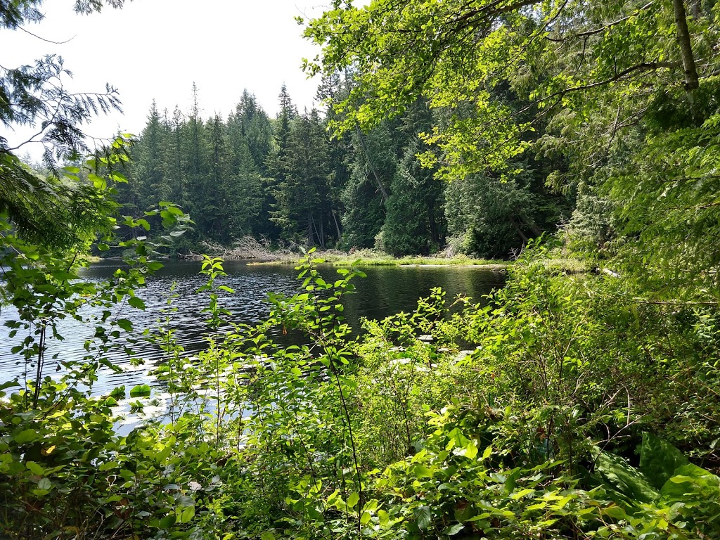 Cedar Lake Overlook | Bellingham, WA 98229, USA