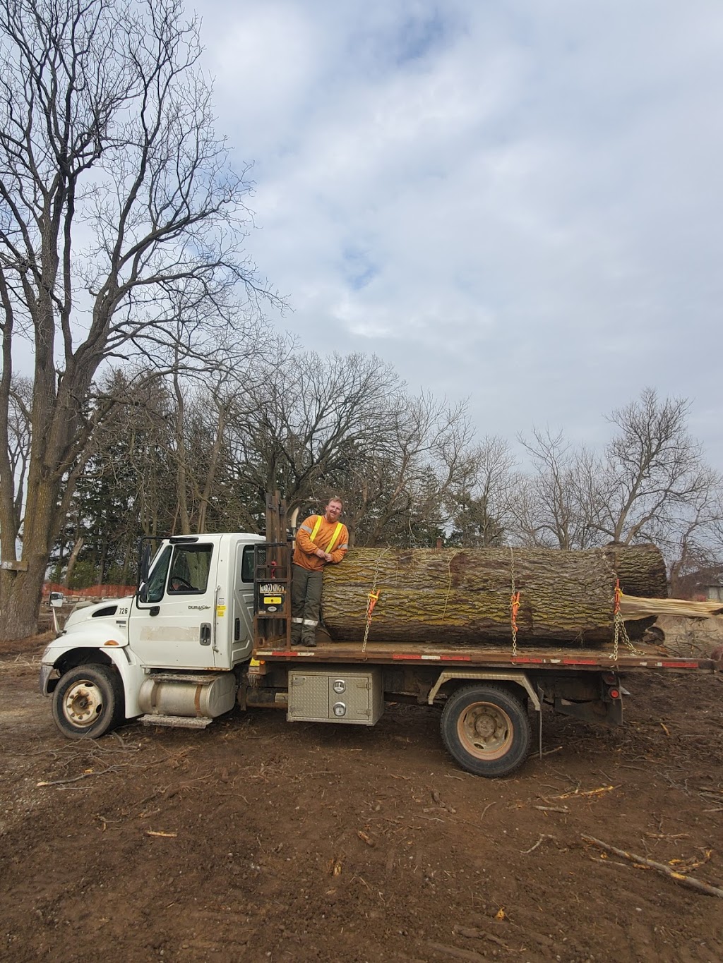 Rayzor Edge Tree Service | 1693 Durst Rd, St. Jacobs, ON N0B 2N0, Canada | Phone: (519) 503-9829