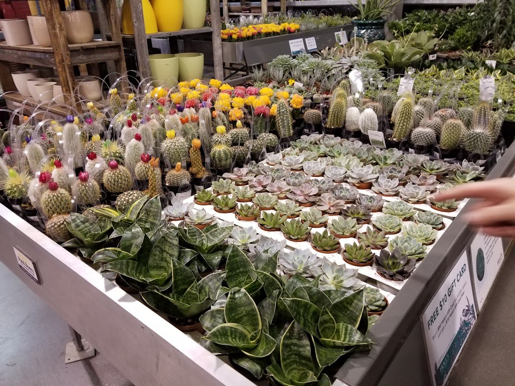 Holes Greenhouses | 101 Riel Dr, St. Albert, AB T8N 3X4, Canada | Phone: (780) 419-6800