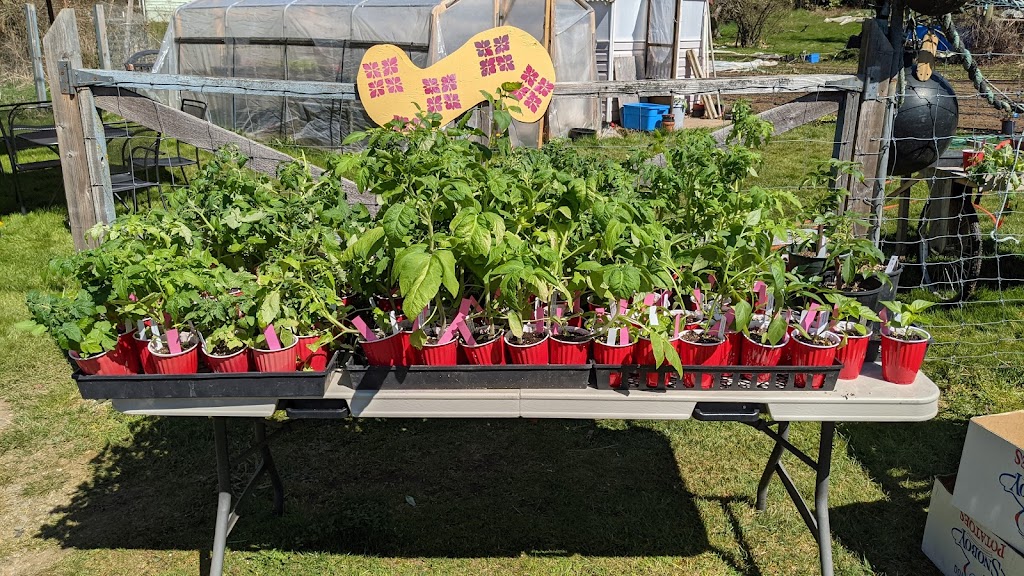 Clever Crow Farm | 7911 N Island Hwy, Black Creek, BC V9J 1G8, Canada | Phone: (250) 465-0448