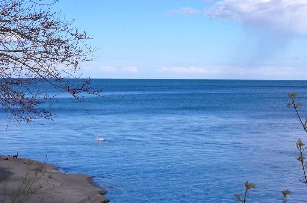 Port Nelson Park | 3000 Lakeshore Rd, Burlington, ON L7N 1A1, Canada
