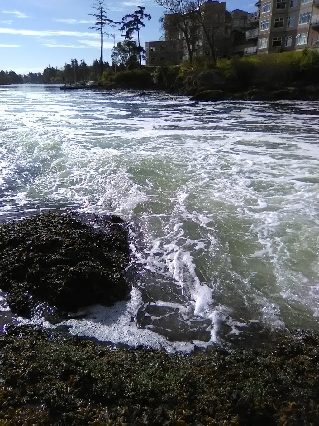 Reversing Falls | Tillicum Rd, Esquimalt, BC V9A, Canada
