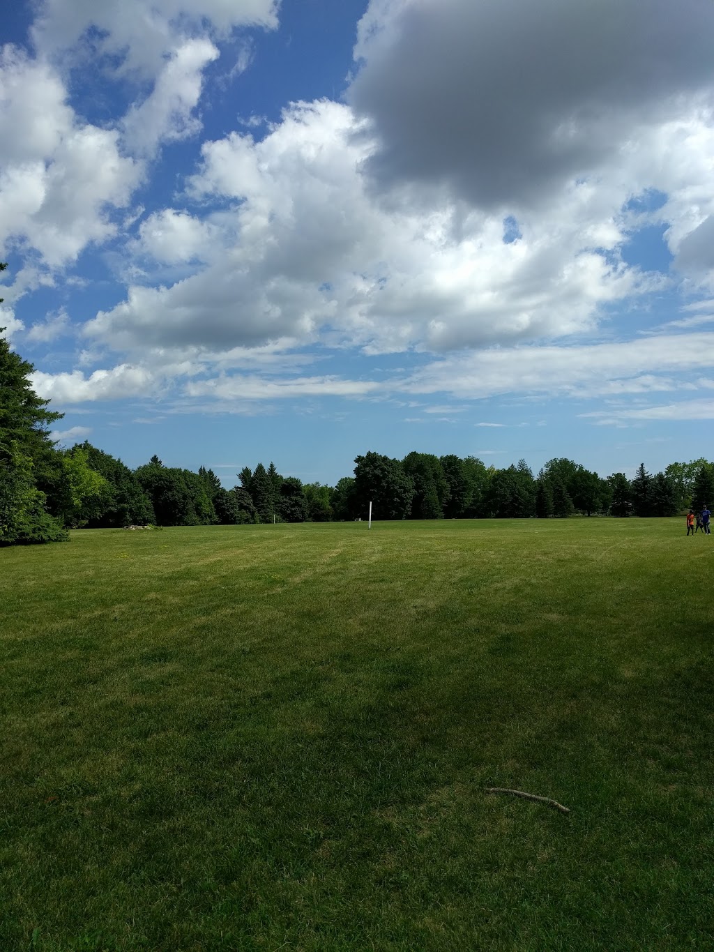 Victoria Square Park | 2929 Elgin Mills Rd E, Markham, ON L6C 0H7, Canada