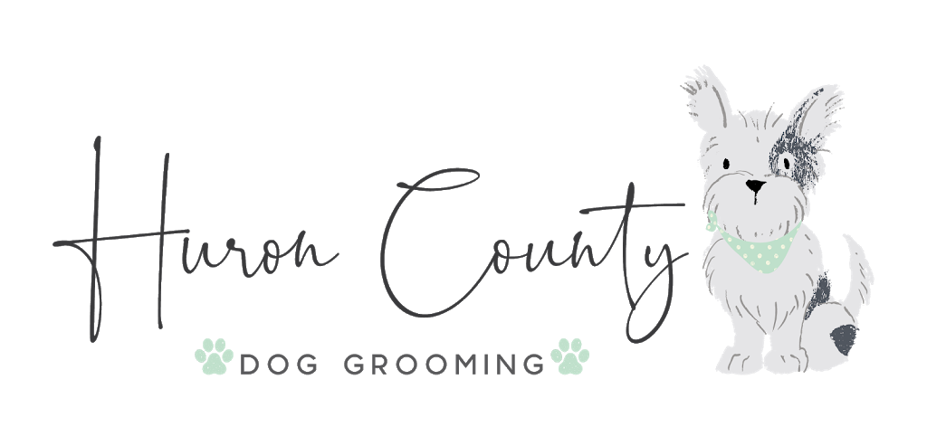 Huron County Dog Grooming | 80228 Kinburn Line, Central Huron, ON N0M 1L0, Canada | Phone: (416) 803-5254