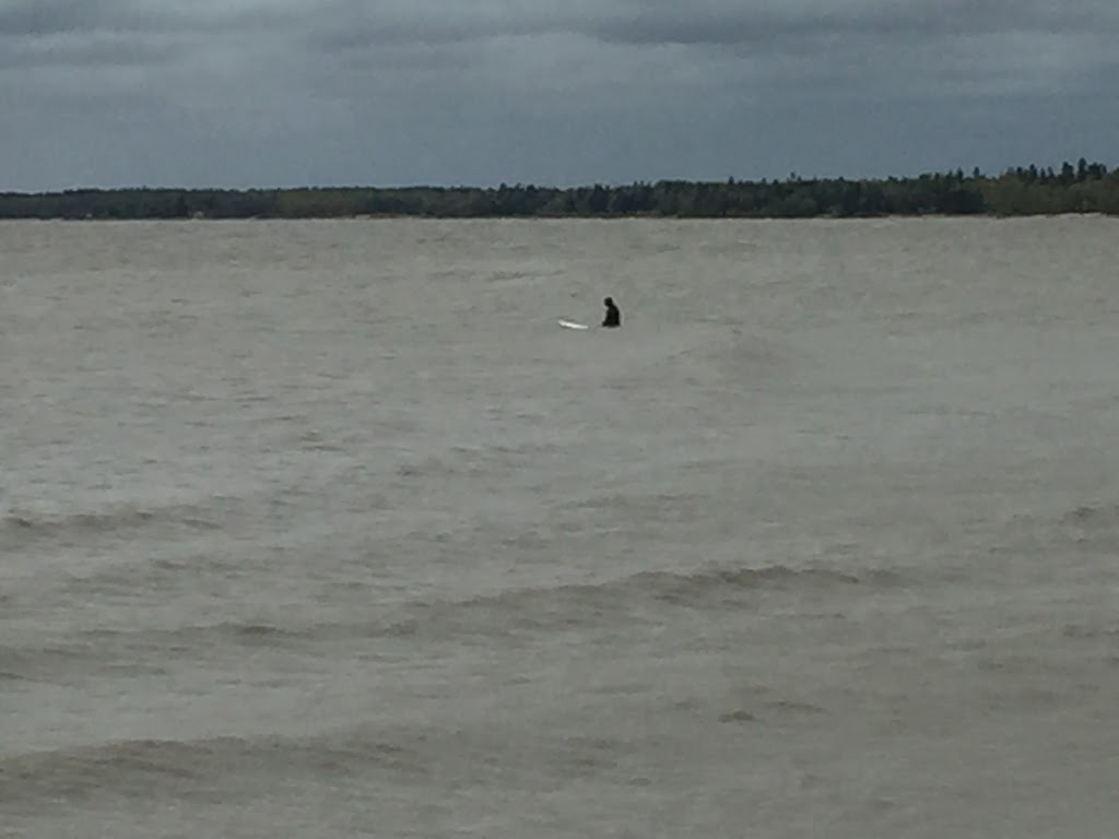 Odin Fisheries | Silver Creek Rd, Arnes, MB R0C 2R0, Canada | Phone: (204) 407-8926