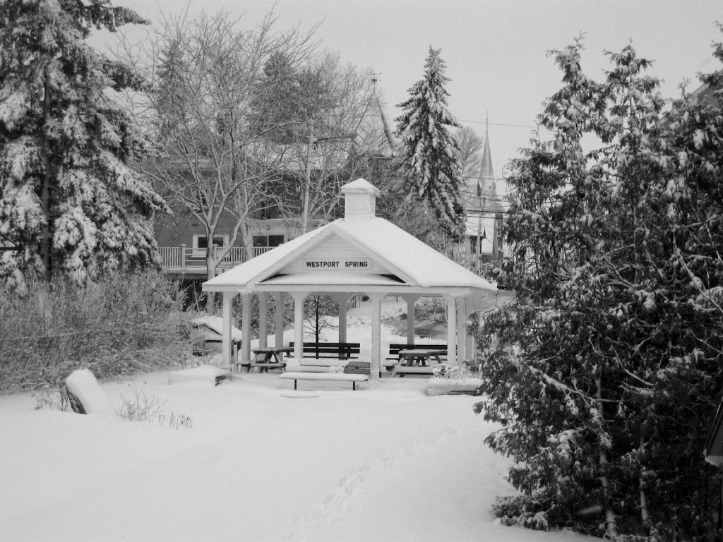 Remax Westport | 41b Main St, Westport, ON K0G 1X0, Canada | Phone: (613) 273-2021