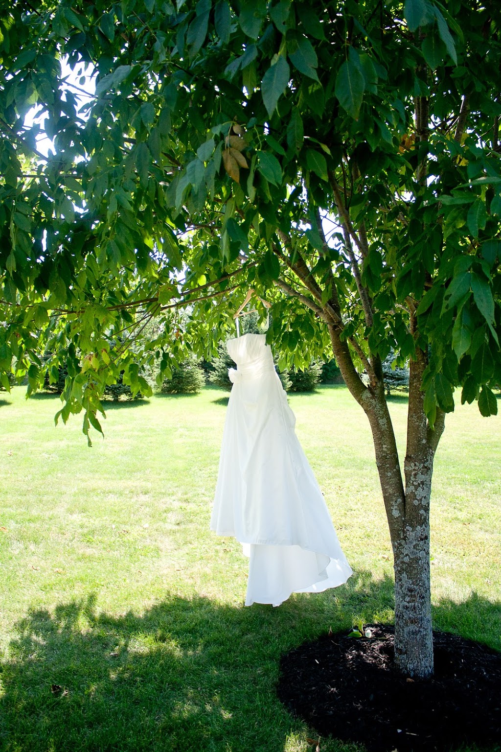 Jeremy Clark Photography | Jones Ln, Brantford, ON N3T 0A7, Canada | Phone: (519) 802-5001