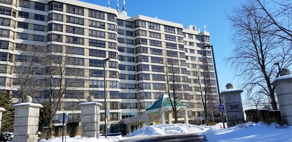 Realtor Anthony Caputo | 44 Queen St N, Bolton, ON L7E 1B9, Canada | Phone: (416) 938-7771