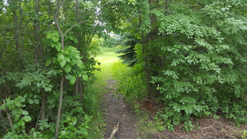 Camp Seeonee | Vanscoy, SK S0L 3J0, Canada