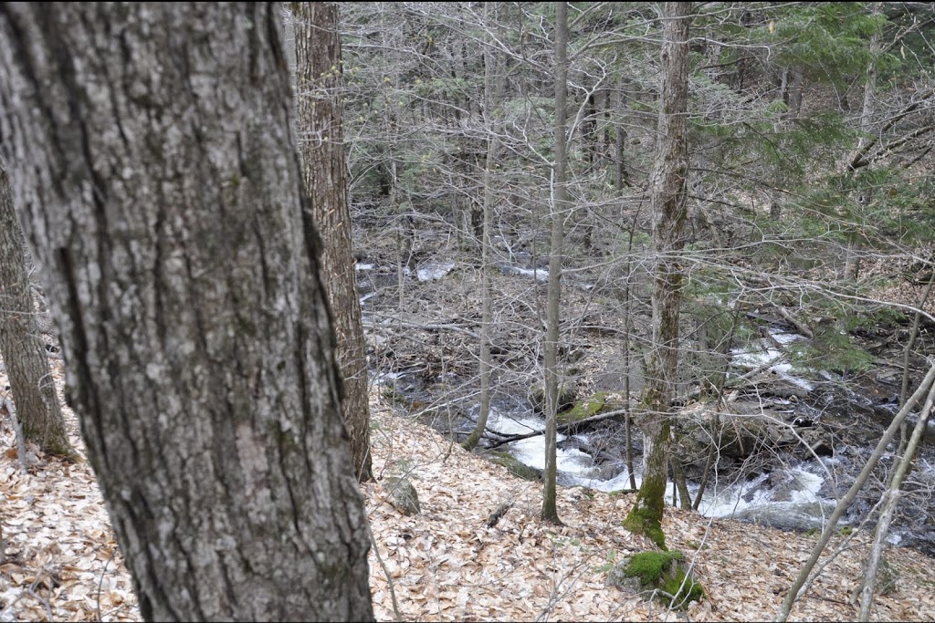 Gatineau Park P9 (Dunlop) | Chemin du Lac Meech, Chelsea, QC J9B 1H9, Canada