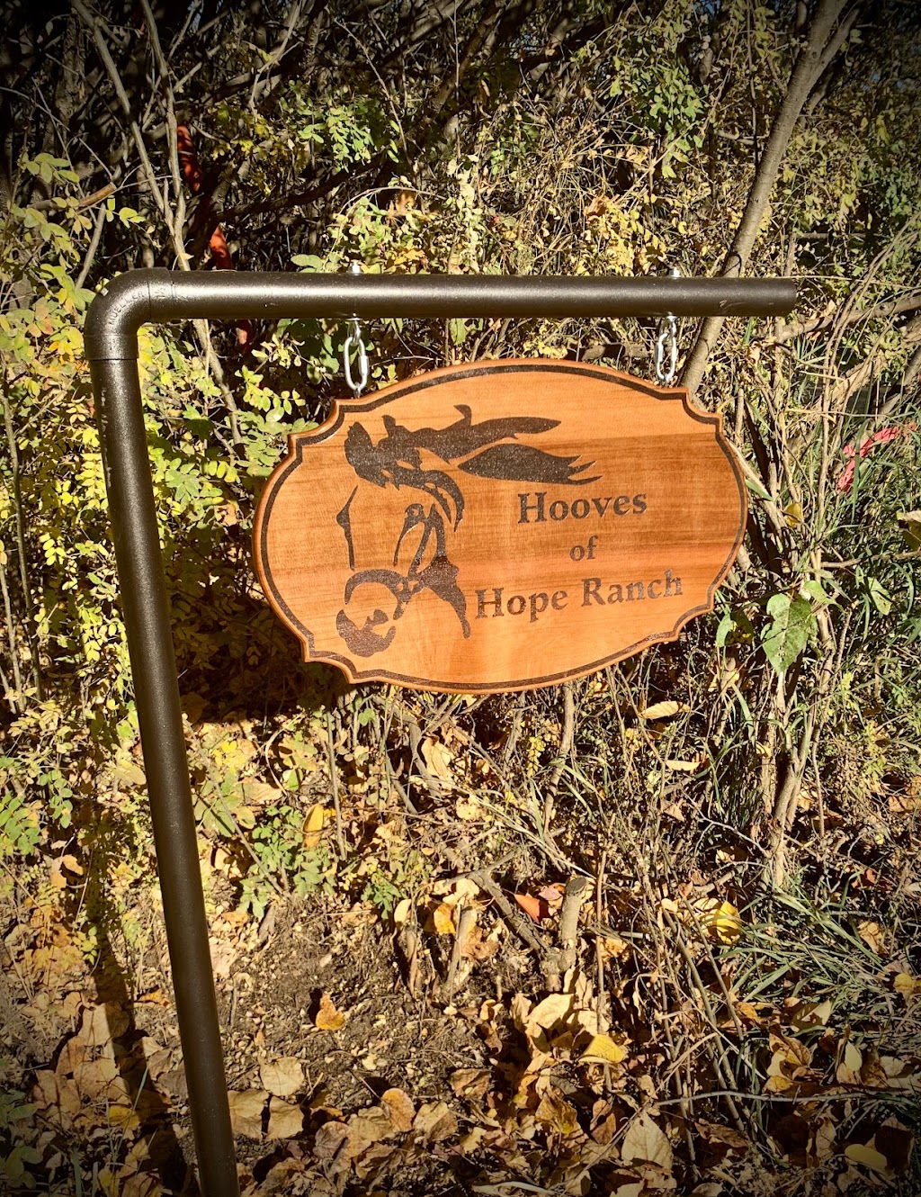 Hooves of Hope Ranch | 243036, TWP 475A, Millet, AB T0C 1Z0, Canada | Phone: (587) 983-9736