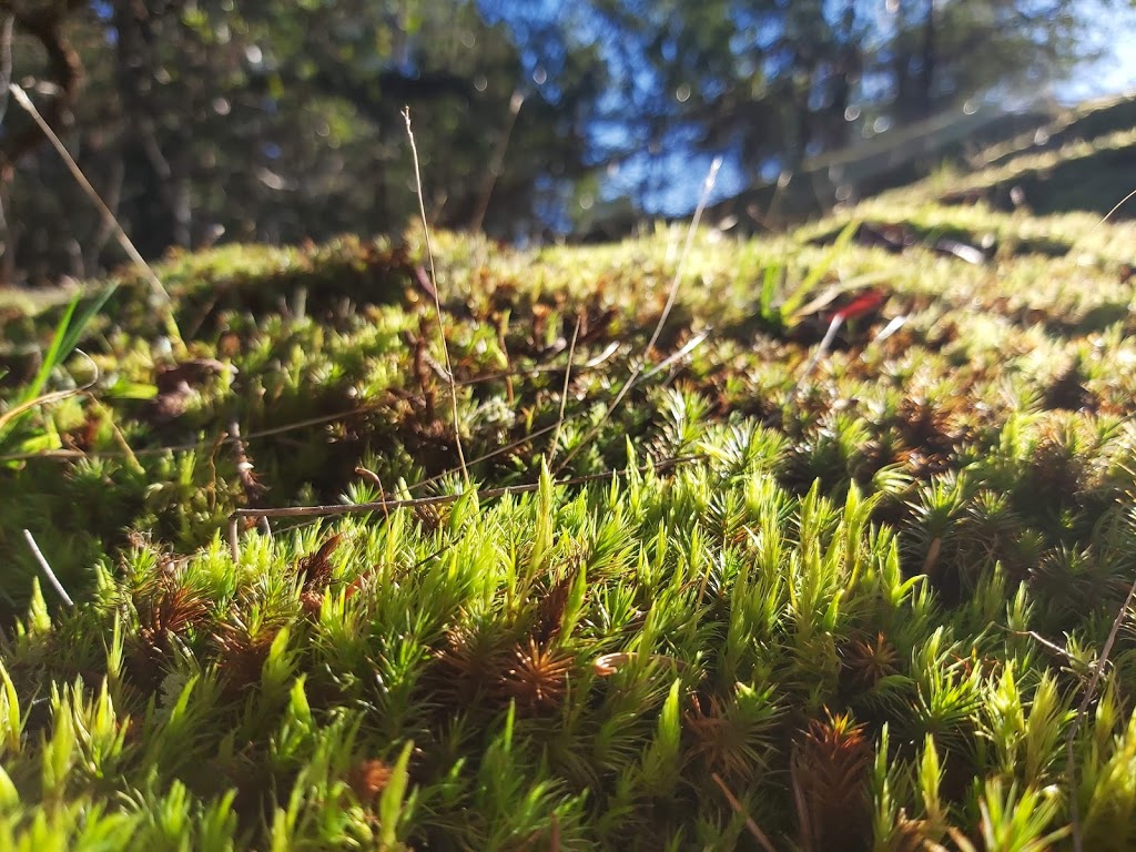 Notch Hill Park | 9G2, Powder Point Rd, Nanoose Bay, BC V9P 9G2, Canada | Phone: (250) 390-4111