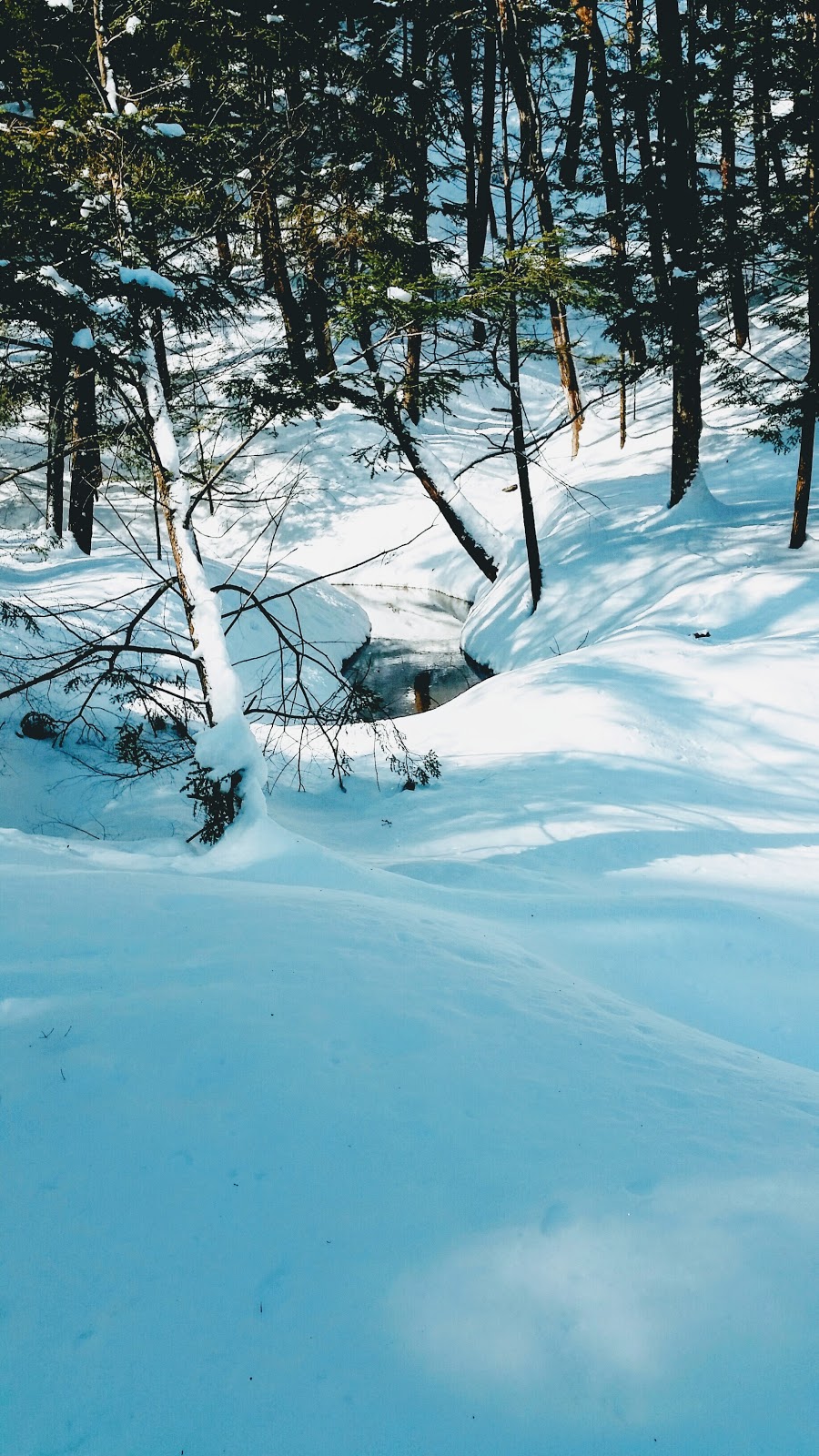 Parc des Saules | 499 Rue Archambault, Mascouche, QC J7L, Canada | Phone: (450) 474-4133