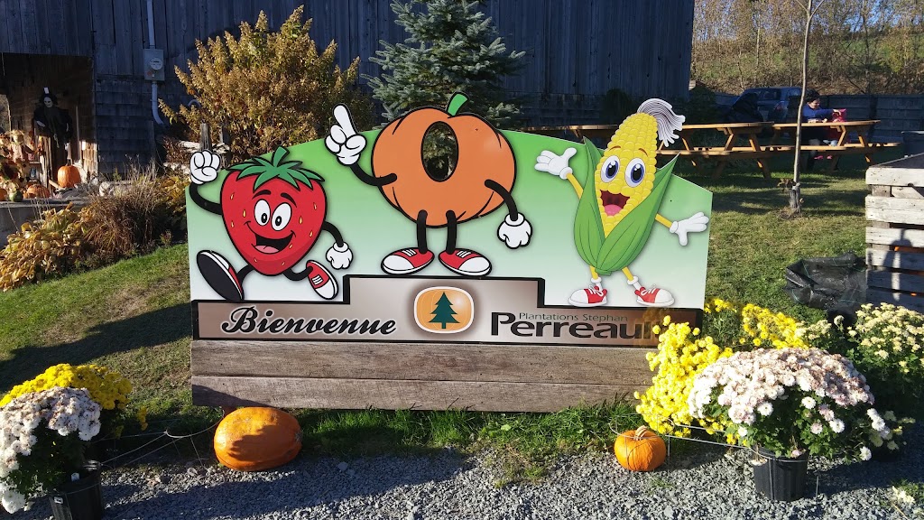 Plantations Stéphan Perreault | 331 QC-143, Val-Joli, QC J1S 0C1, Canada | Phone: (819) 845-1160