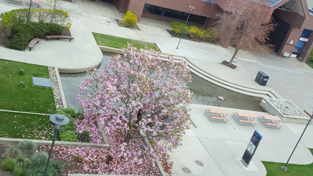 UBC Okanagan Fountain | 1138 Alumni Ave, Kelowna, BC V1V 1V7, Canada