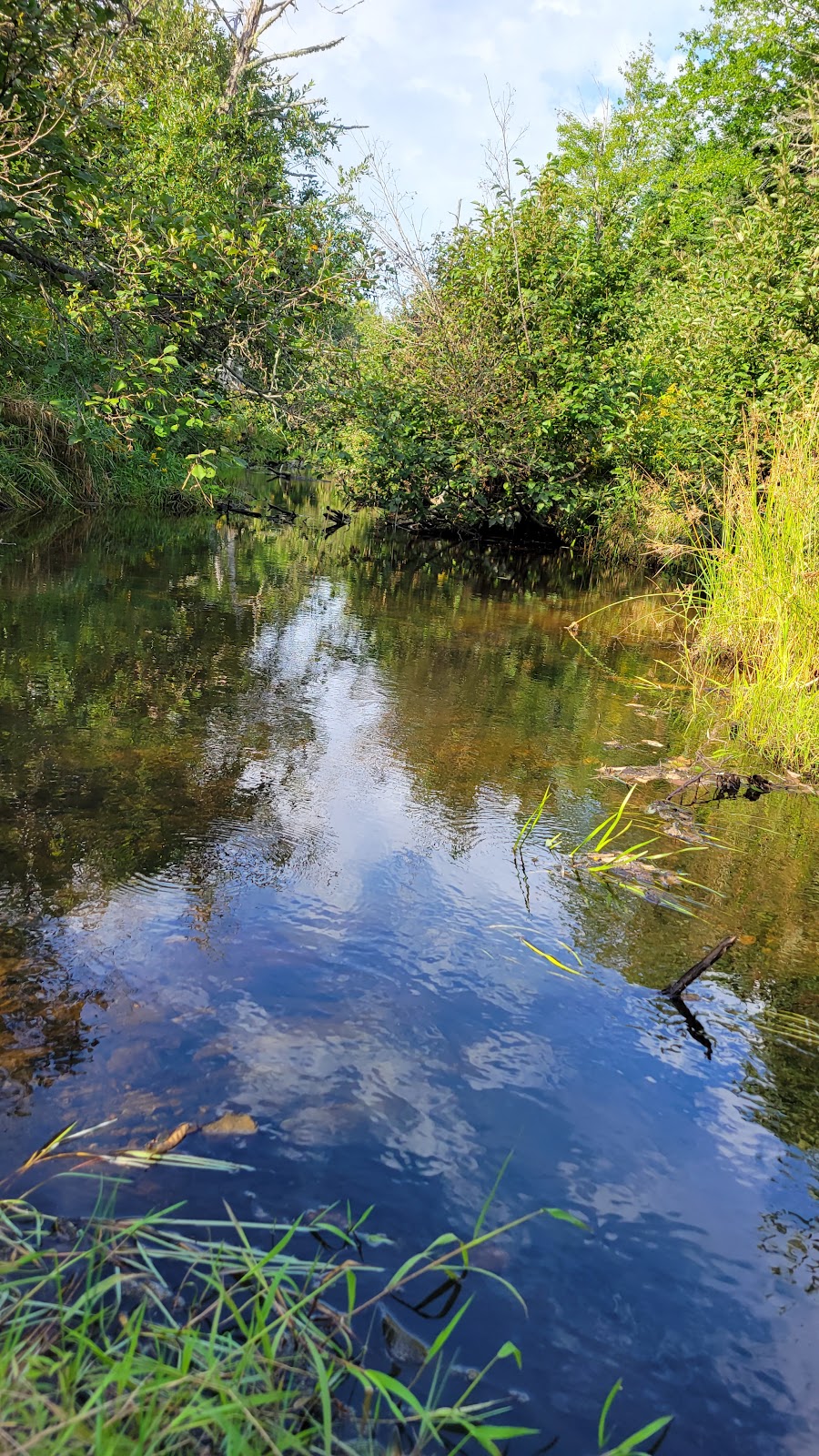 Kavanagh Farm Camping | 2715 NB-134, Shediac, NB E4P 3E6, Canada | Phone: (506) 878-8281