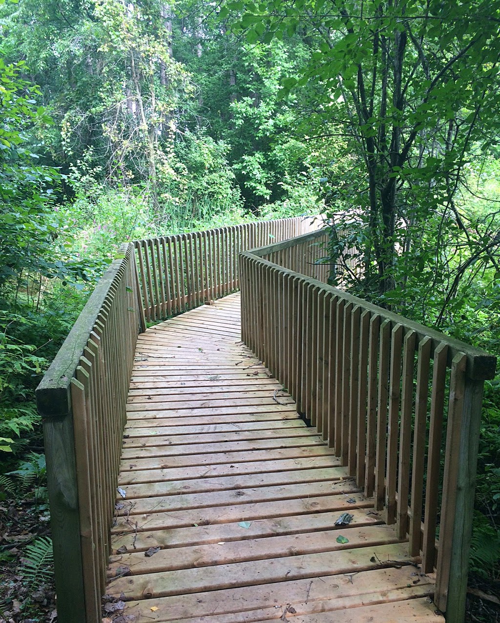 Turtle Trail | North Grenville, ON K0G 1J0, Canada