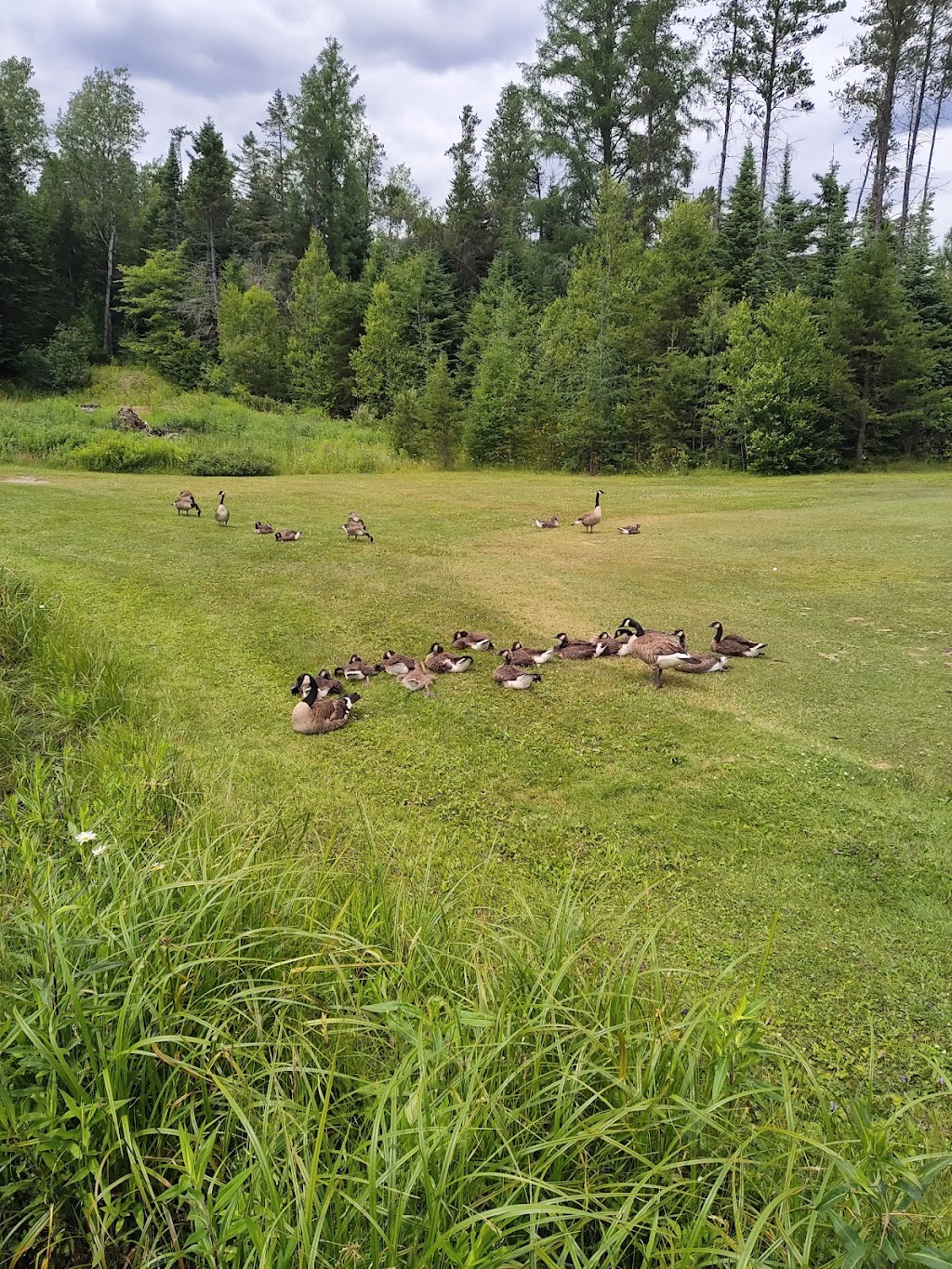 Club de Golf Saint Benjamin | 490 Rue du Lac, Saint-Benjamin, QC G0M 1N0, Canada | Phone: (418) 594-5545