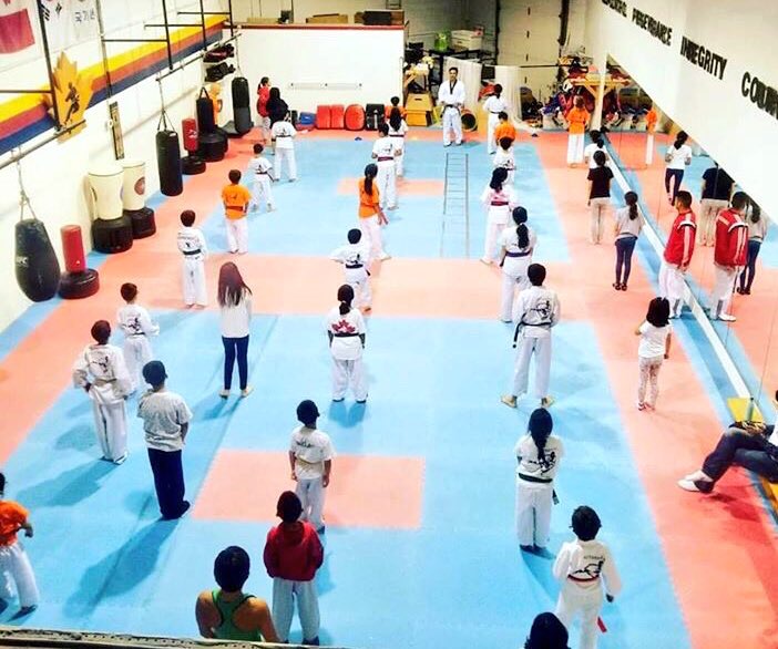 Authentic Taekwondo and Kickboxing | 7676 Woodbine Ave #9, Markham, ON L3R 2N2, Canada | Phone: (905) 947-1235